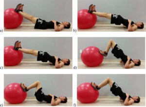 Physio Ball/ Gym Ball Plane